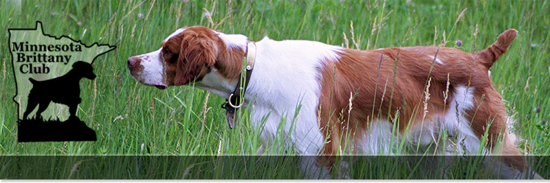 kinwashkly brittanys